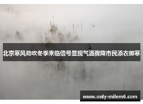 北京寒风劲吹冬季来临信号显现气温骤降市民添衣御寒