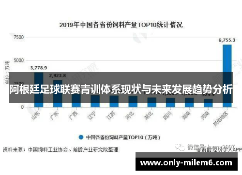 阿根廷足球联赛青训体系现状与未来发展趋势分析 阿根廷足球联赛青训体系现状与未来发展趋势分析