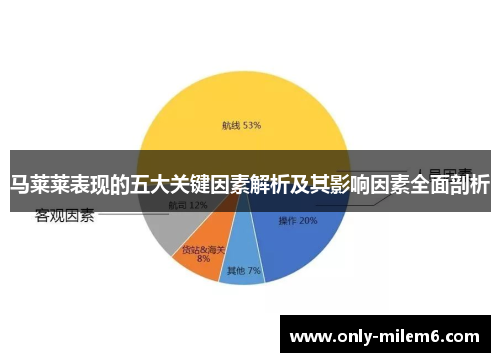 马莱莱表现的五大关键因素解析及其影响因素全面剖析
