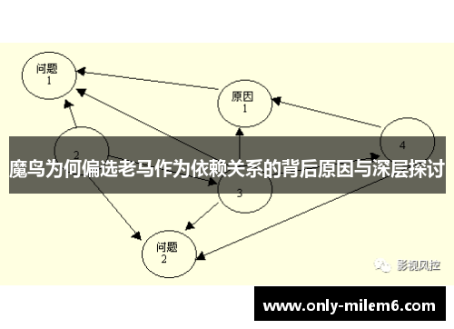 魔鸟为何偏选老马作为依赖关系的背后原因与深层探讨 魔鸟为何偏选老马作为依赖关系的背后原因与深层探讨